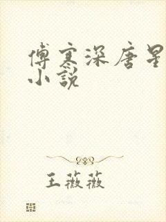 傅寒深唐星挽的小说