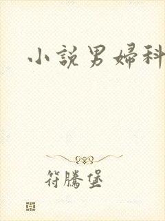 小说男妇科医生