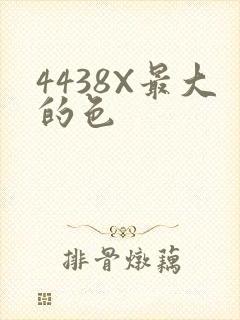 4438X最大的色