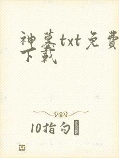 神墓txt免费下载