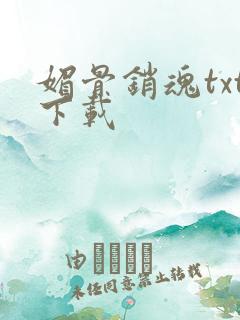 媚骨销魂txt下载