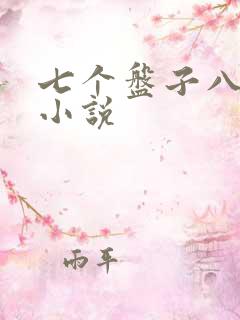 七个盘子八个碗小说