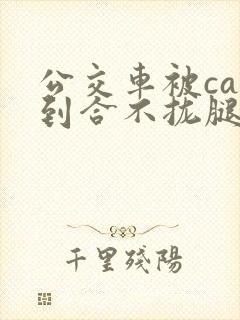 公交车被cao到合不拢腿app