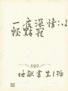 一夜深情:小叔轻点宠