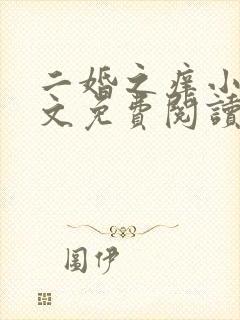 二婚之痒小说全文免费阅读