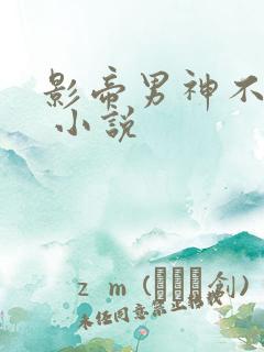 影帝男神不节制 小说