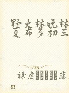 野火林晚林潮生夏布多初三边缘