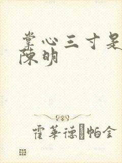 掌心三寸是人间陈明