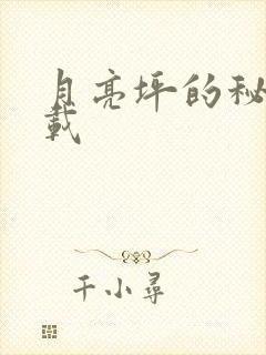 月亮坪的秘密下载