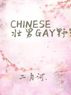 CHINESE壮男GAY野战强迫TUBE