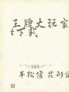 王牌大玩家txt下载