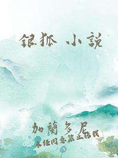 银狐 小说