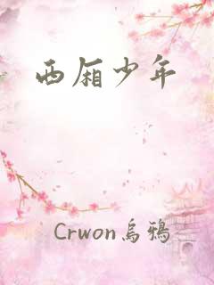 西厢少年