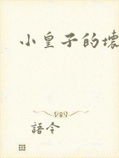 小皇子的坏王妃