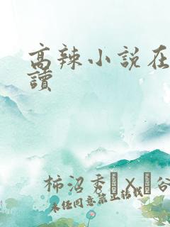 高辣小说在线阅读