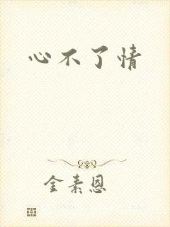 心不了情
