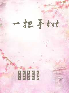 一把手txt