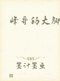 峰哥的大脚