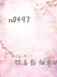 n0497