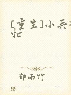 [重生]小兵很忙