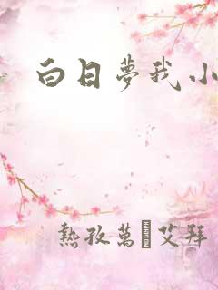 白日梦我小说
