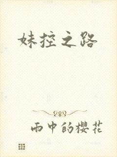 妹控之路