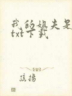 我的姐夫是太子txt下载