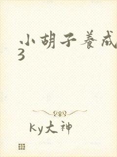 小胡子养成计划3