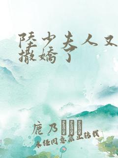 陆少夫人又双叒撒娇了