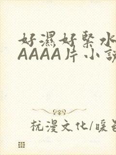 好湿好紧水多AAAAA片小说