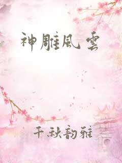 神雕风云