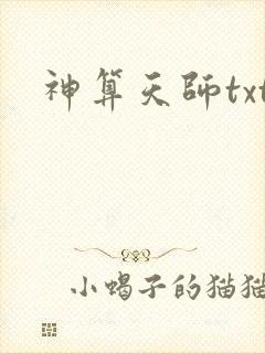 神算天师txt