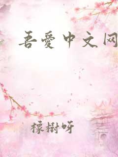 吾爱中文网
