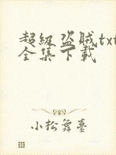 超级盗贼txt全集下载