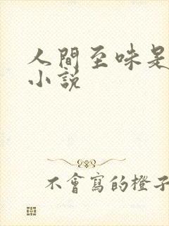 人间至味是清欢小说