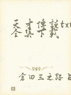 天才传说txt全集下载