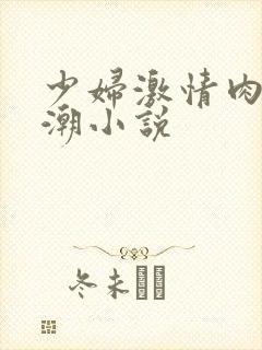 少妇激情肉欲高潮小说