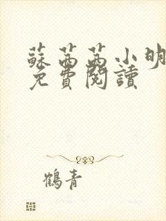 苏茜茜小明全文免费阅读