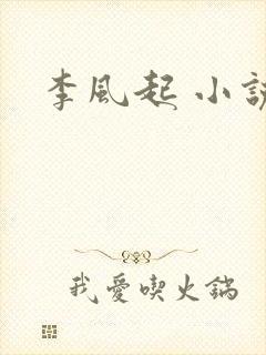 李风起 小说