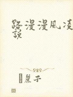 路漫漫风凌轩小说