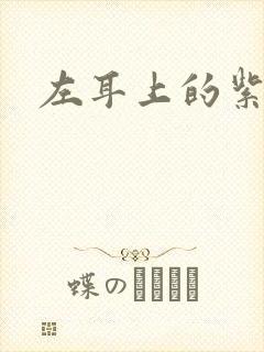 左耳上的紫水晶