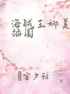 海贼王娜美被轮插图