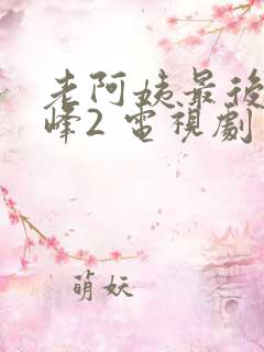 老阿姨最后的巅峰2 电视剧