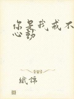 你是我戒不掉的心动