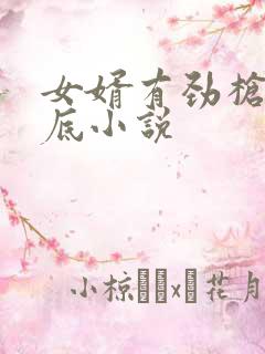 女婿有劲枪枪到底小说