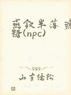 燕钗半落 琥珀糖(npc)