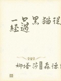一只黑猫从眼前经过
