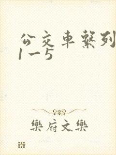 公交车系列合集1一5