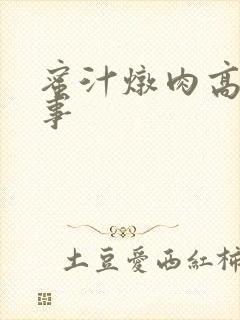 蜜汁炖肉高H故事