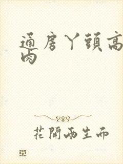 通房丫头高h纯肉